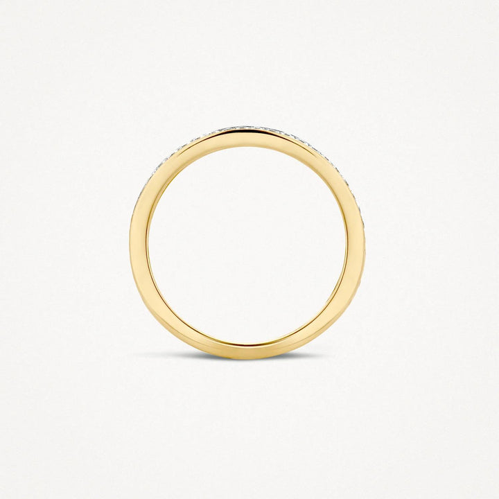 Blush Jewels ring 1119BZI - 14k Geel en Wit Goud met Zirkonia