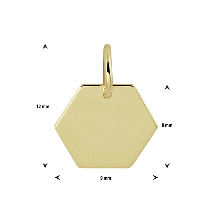 14 kt graveerhanger 8 kant