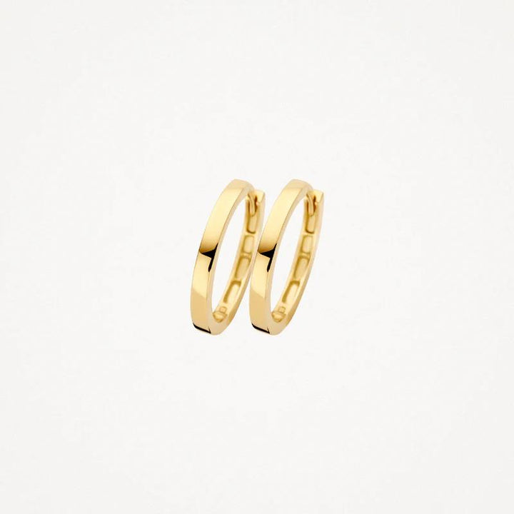 14k Blush Jewels geelgouden oorringen 7308YGO