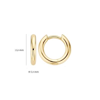 Oorringen 7165YGO - 14k Geelgoud