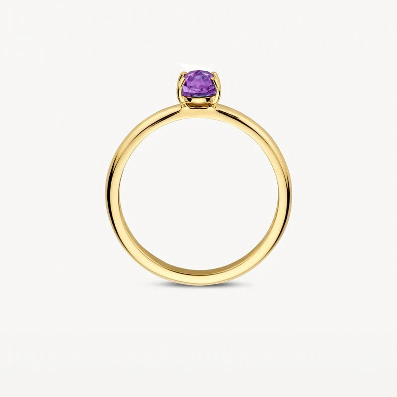 14k Geelgouden Ring met Amethyst 1242YAM