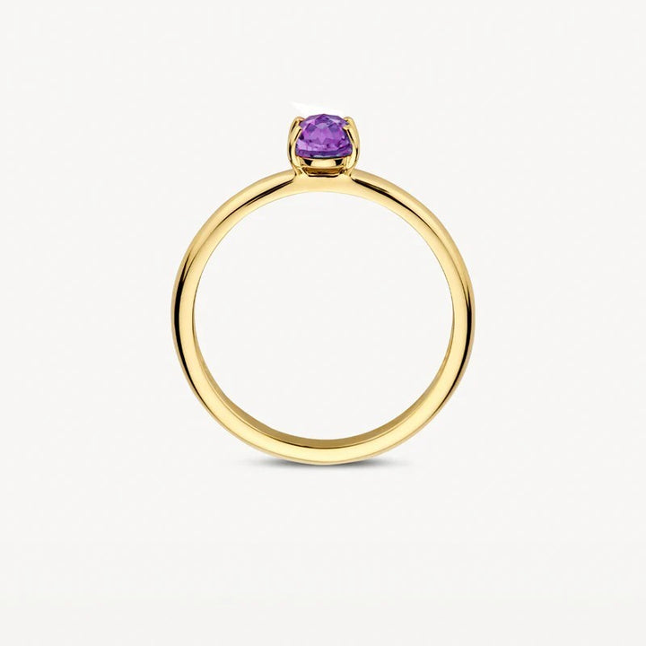 14k Geelgouden Ring met Amethyst 1242YAM