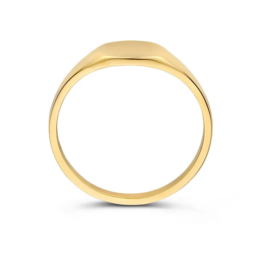 14 Karaat Geelgouden Dames Zegelring – RE108233-54 – Maat 54
