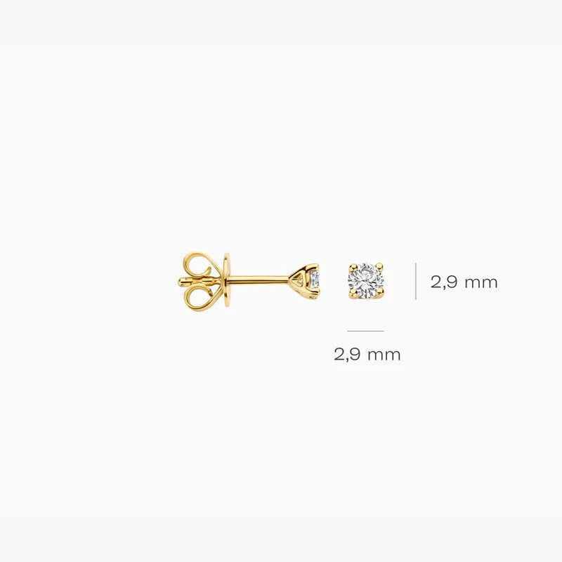 Blush Lab Grown Diamonds 14k Oorstekers - LG7000Y