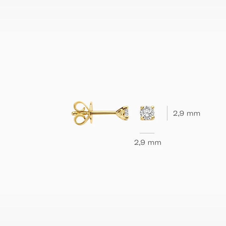 Blush Lab Grown Diamonds 14k Oorstekers - LG7000Y