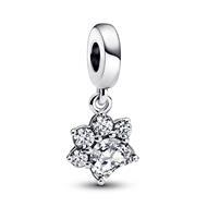 Paw sterling silver dangle 792247C01