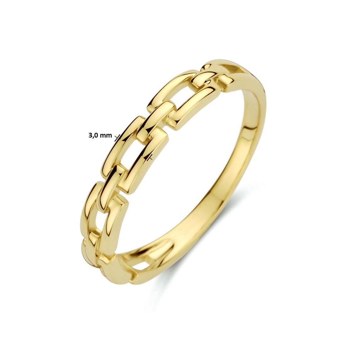 14k Geelgouden ring uitgevoerd met een schakelmotief