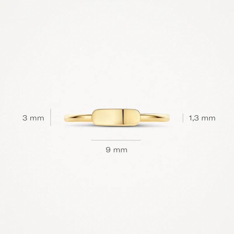 14 kt Blush Ring 1236YGO geelgoud mini zegel