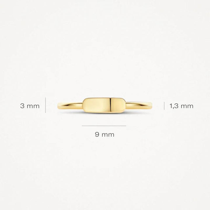 14 kt Blush Ring 1236YGO geelgoud mini zegel