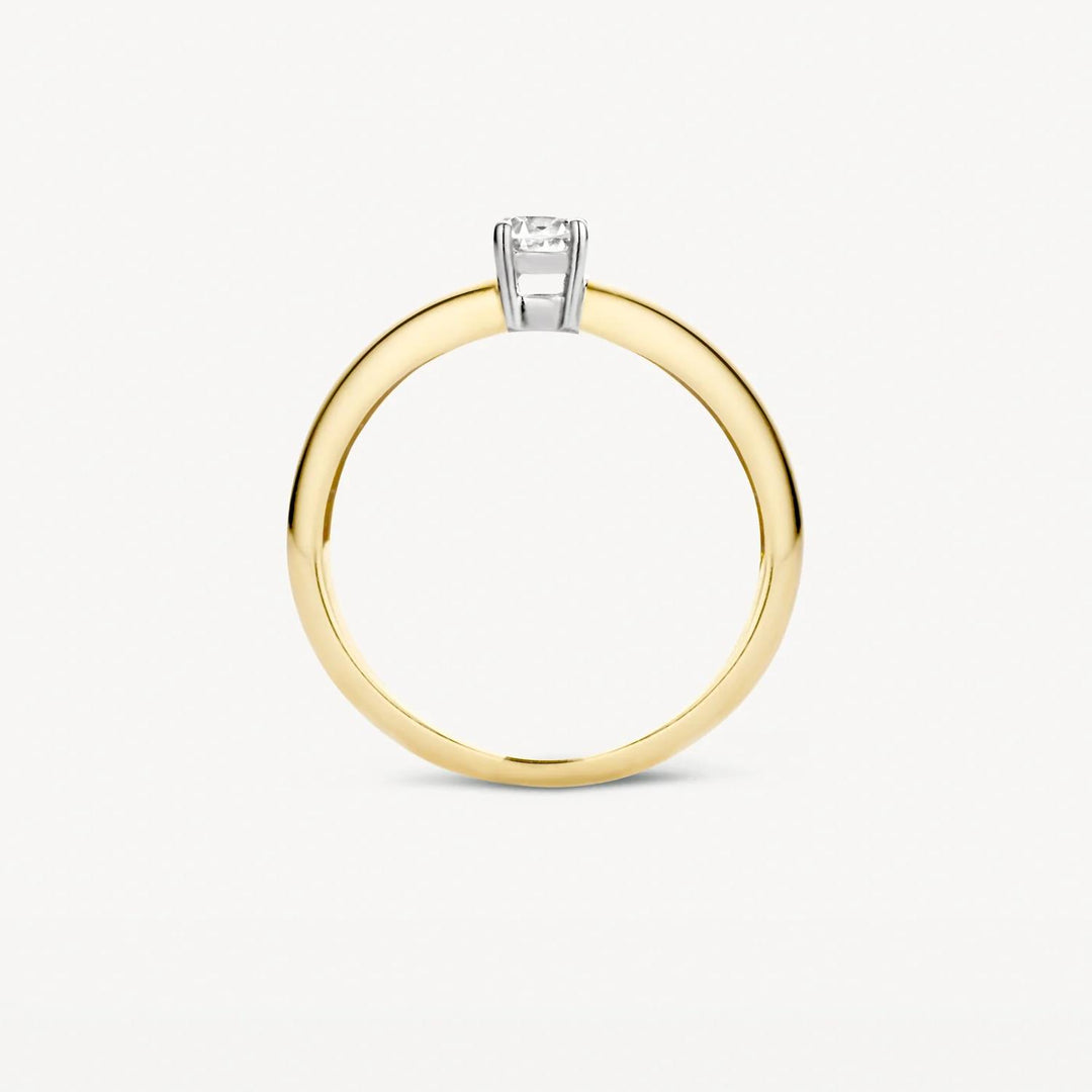 Blush Jewels 1155BZI