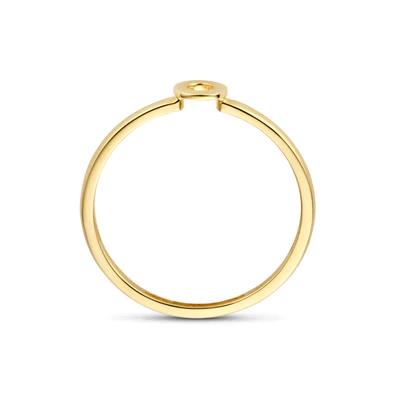 Blush Jewels ring 1233YGO - 14k Geelgoud maat 54