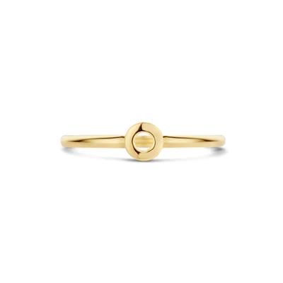 Blush Jewels ring 1233YGO - 14k Geelgoud maat 54