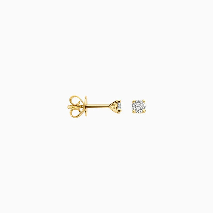 Blush Lab Grown Diamonds 14k Oorstekers - LG7000Y