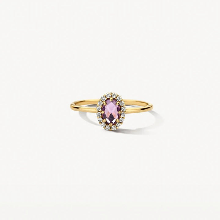 Blush Ring 14 kt Geelgoud met Amethist en Zirkonia – 1271YAM