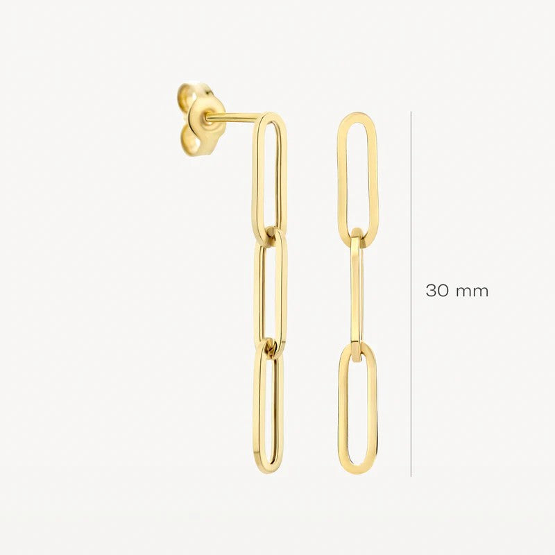 14k Geelgouden oorbellen Blush 7276YGO