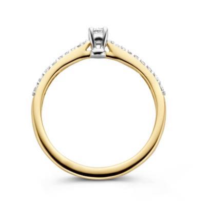 1658BDI 14k Geel en Wit Goud met Diamant