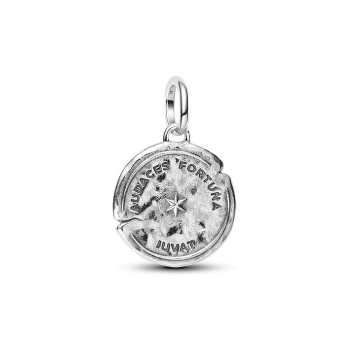 PANDORA Dolphin Medallion Charm 794807C01