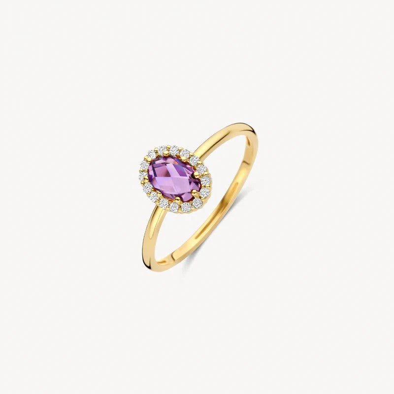 Blush Ring 14 kt Geelgoud met Amethist en Zirkonia – 1271YAM