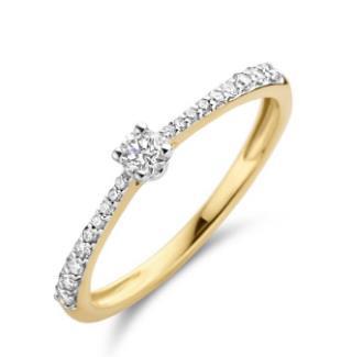 1658BDI 14k Geel en Wit Goud met Diamant