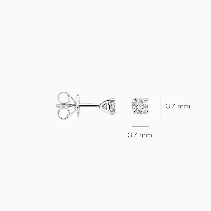 Blush Lab Grown Oorstekers LG7001W in 14 Kt Witgoud met Lab Grown Diamanten