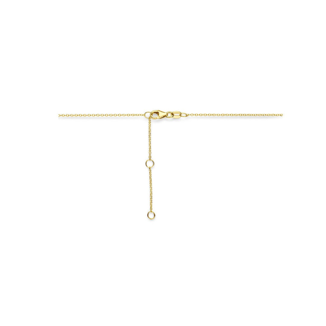 14 Karaat Geelgouden Collier met Roze Saffier en Diamant – 41-45 cm
