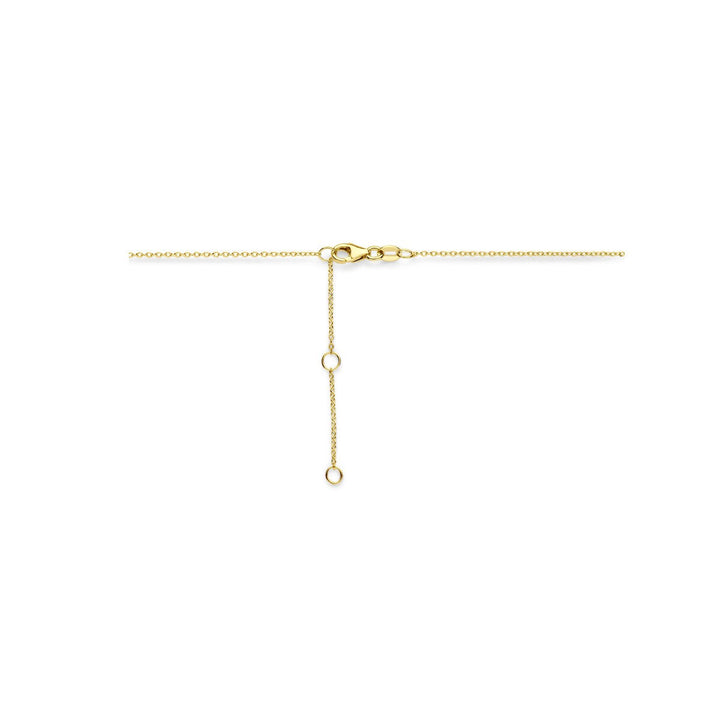 14 Karaat Geelgouden Collier met Roze Saffier en Diamant – 41-45 cm