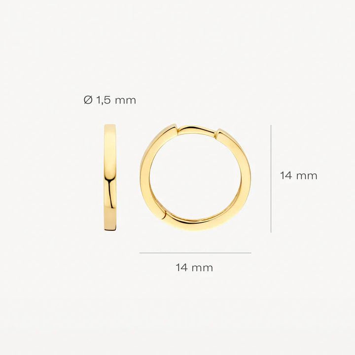 14k Blush Jewels geelgouden oorringen 7308YGO