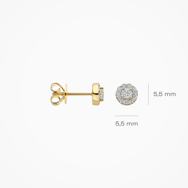 Blush Lab Diamonds Oorknoppen LG7011Y 2x 0.145 ct