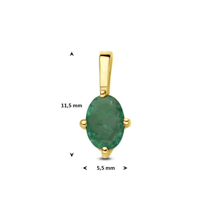 14 Karaat Geelgouden Hanger met Smaragd 40.36716