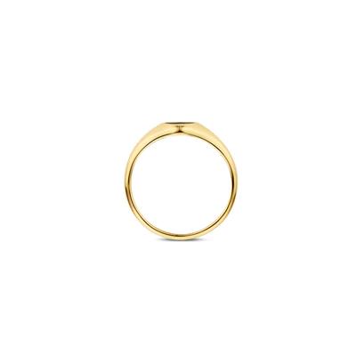 Zegelring 1219YMP - 14k Geelgoud met Mother of Pearl