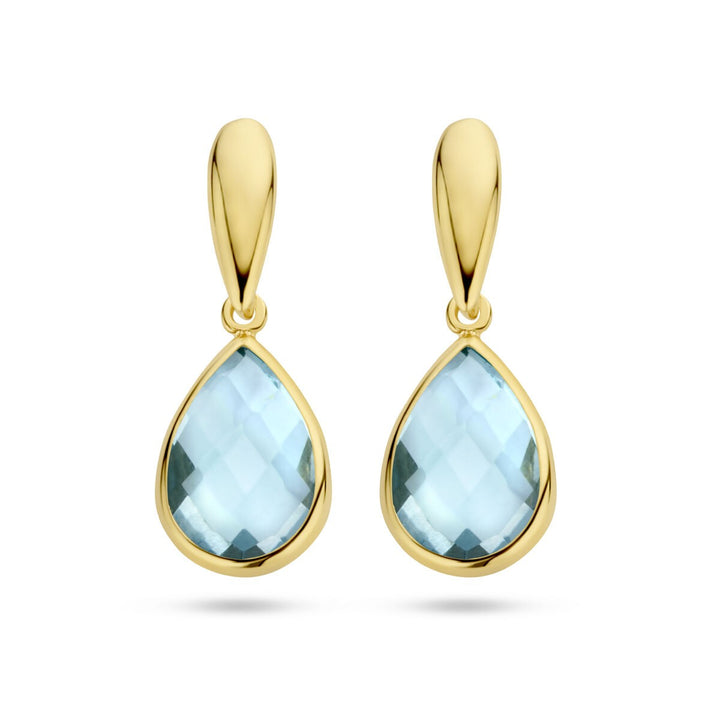 Xavi Huyscollectie 40.25539