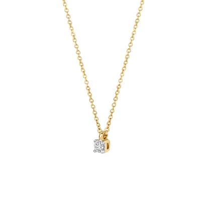 Collier 3610YDI - 14k Wit en Geelgoud