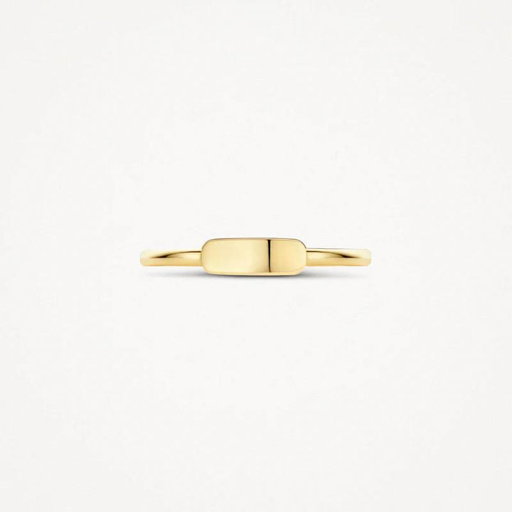 14 kt Blush Ring 1236YGO geelgoud mini zegel