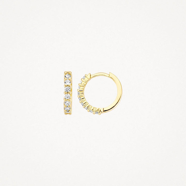 14k Geelgoud met zirkonia Oorringen 7134YZI
