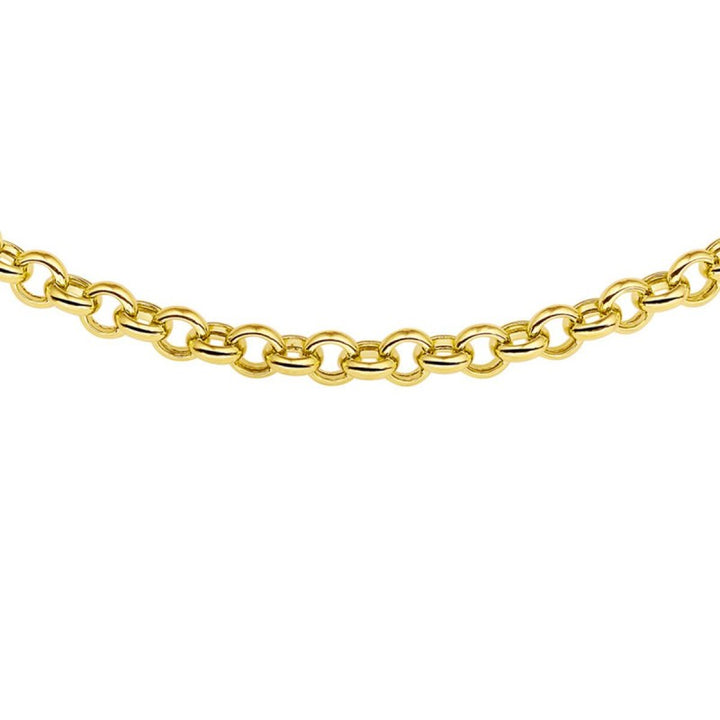 14 karaat gouden jasseron collier 3,5 mm – 50 cm