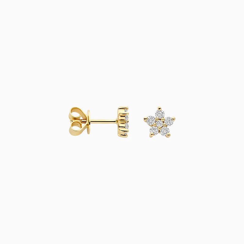 14 kt Geelgouden Oorknoppen Ster met Lab Grown Diamanten - LG7018Y