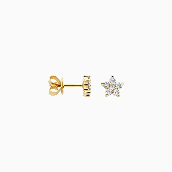 14 kt Geelgouden Oorknoppen Ster met Lab Grown Diamanten - LG7018Y
