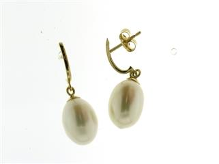 Beheyt Collection 054048\/P