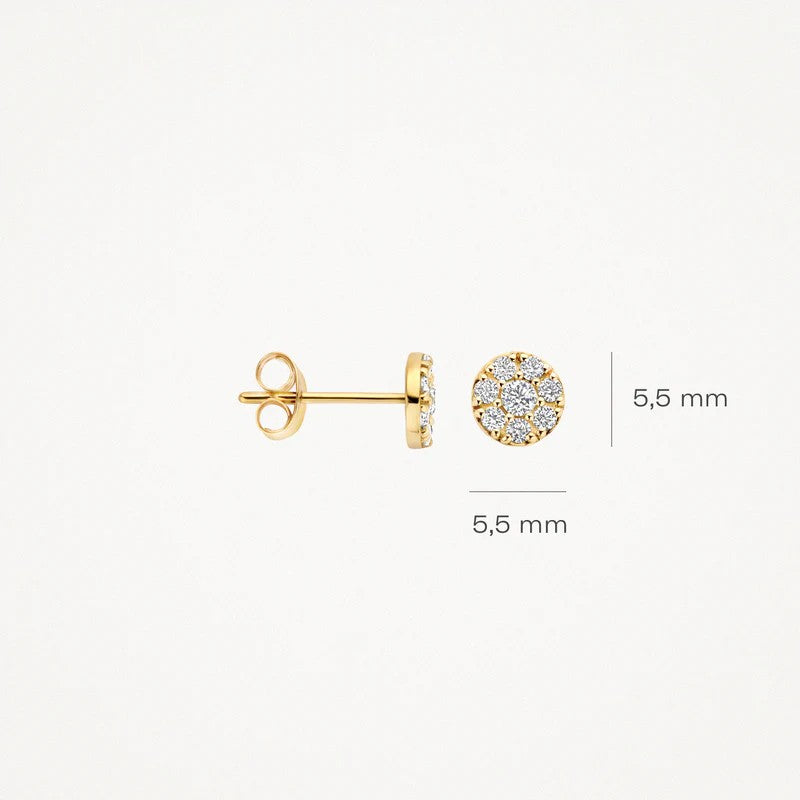 Blush 14k Geelgouden Oorknopjes met Zirkonia 7396YZI