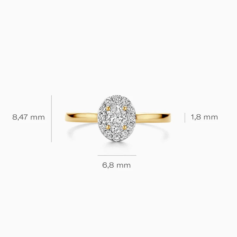 Blush Lab Grown Diamonds LG1016Y ovale rozetring
