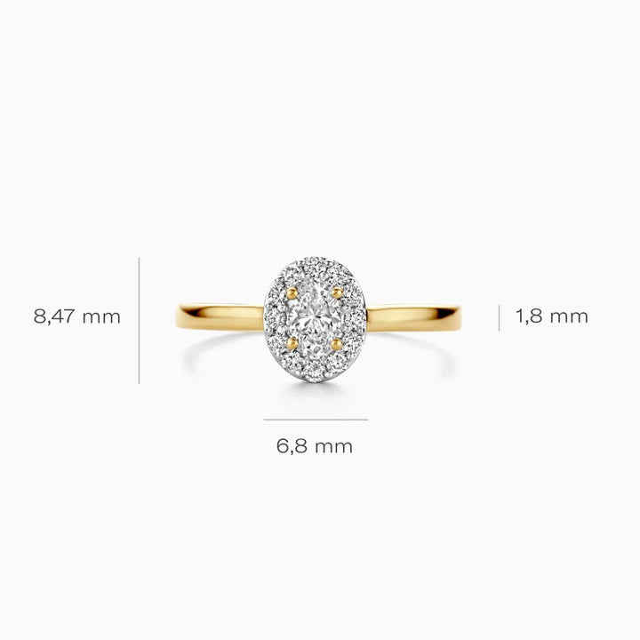 Blush Lab Grown Diamonds LG1016Y ovale rozetring