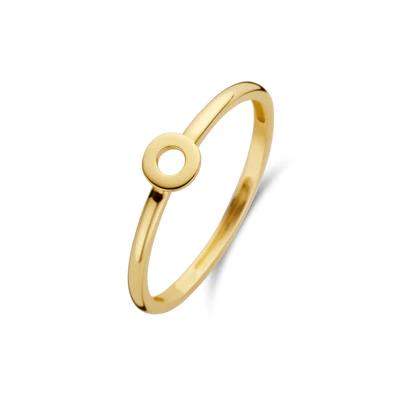 Blush Jewels ring 1233YGO - 14k Geelgoud maat 54