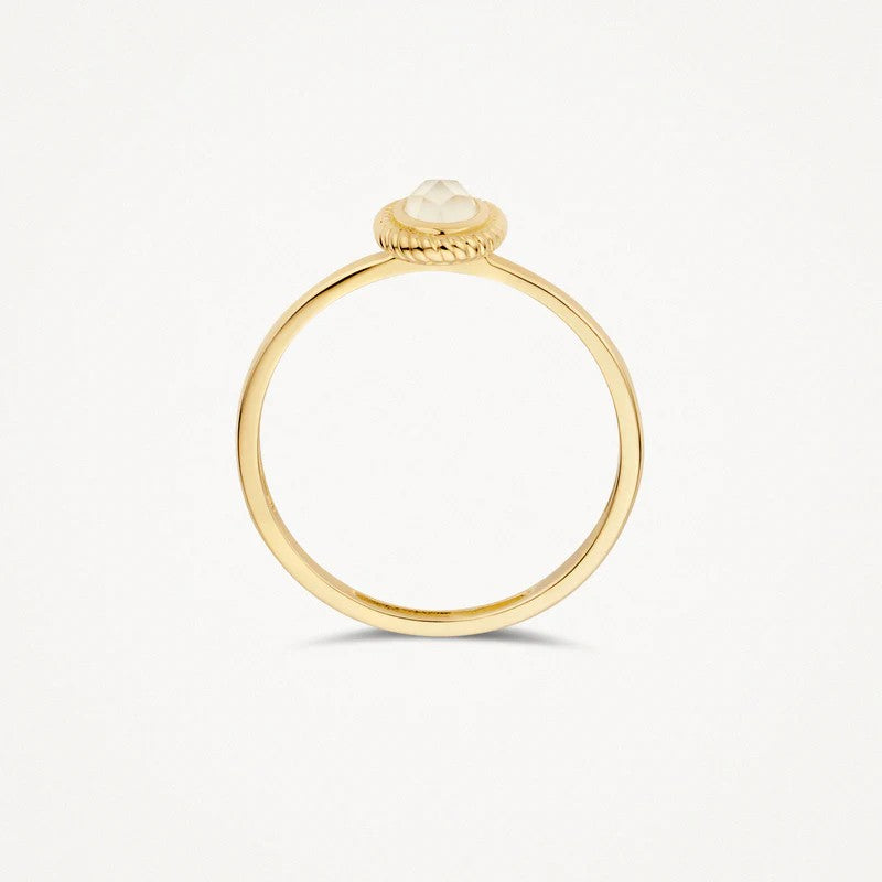 Blush Jewels ring 1239YMQ - 14k Geel goud 1239YMQ maat 52