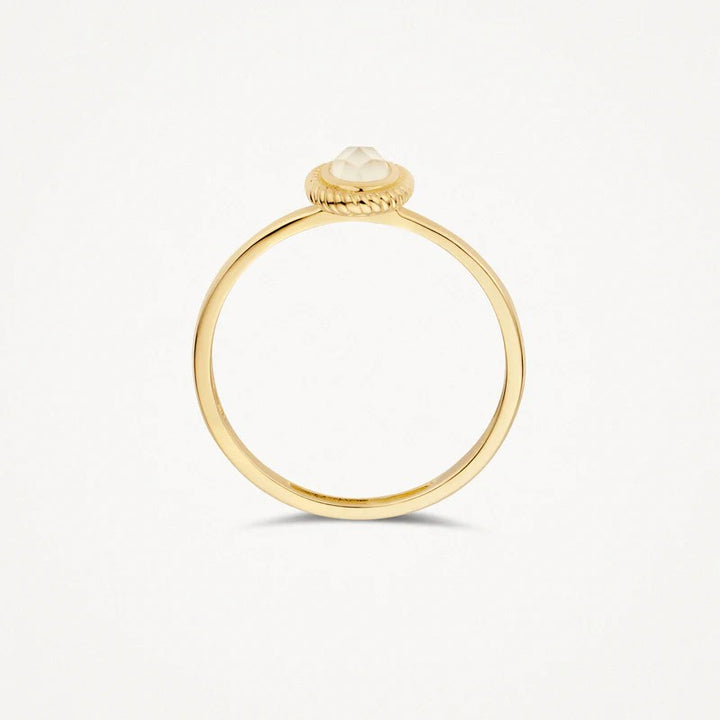 Blush Jewels ring 1239YMQ - 14k Geel goud 1239YMQ maat 52