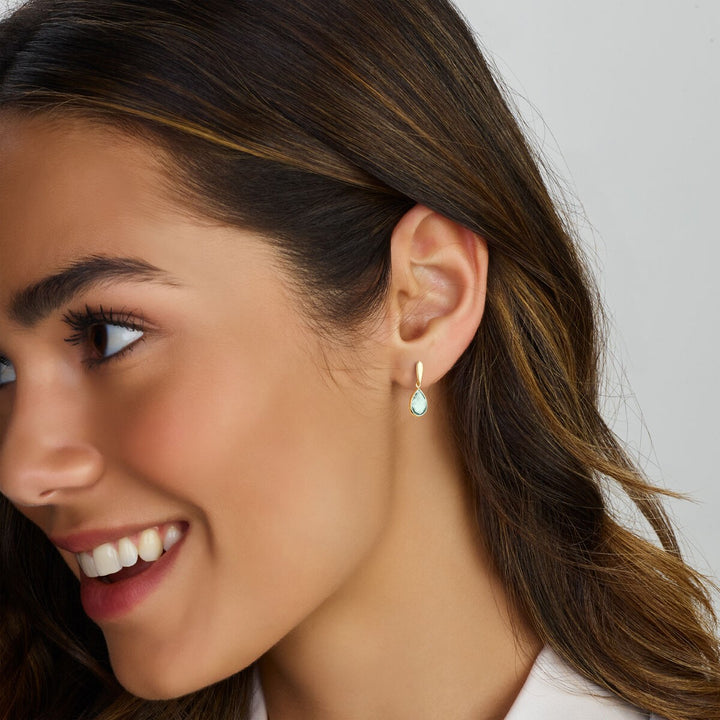 Xavi Huyscollectie 40.25539