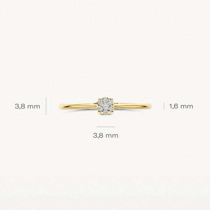 Diamanten Ring met Pavé-Zetting 0.06ct – 14k Geelgoud 1683YDI