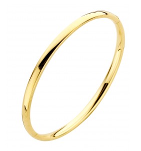 Fjory Ovale Bangle 14 Karaat Geelgoud 5 mm – 61 mm