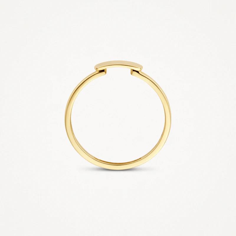 14 kt Blush Ring 1236YGO geelgoud mini zegel