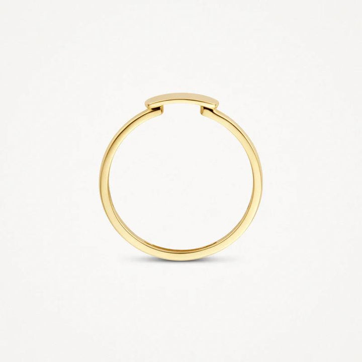 14 kt Blush Ring 1236YGO geelgoud mini zegel