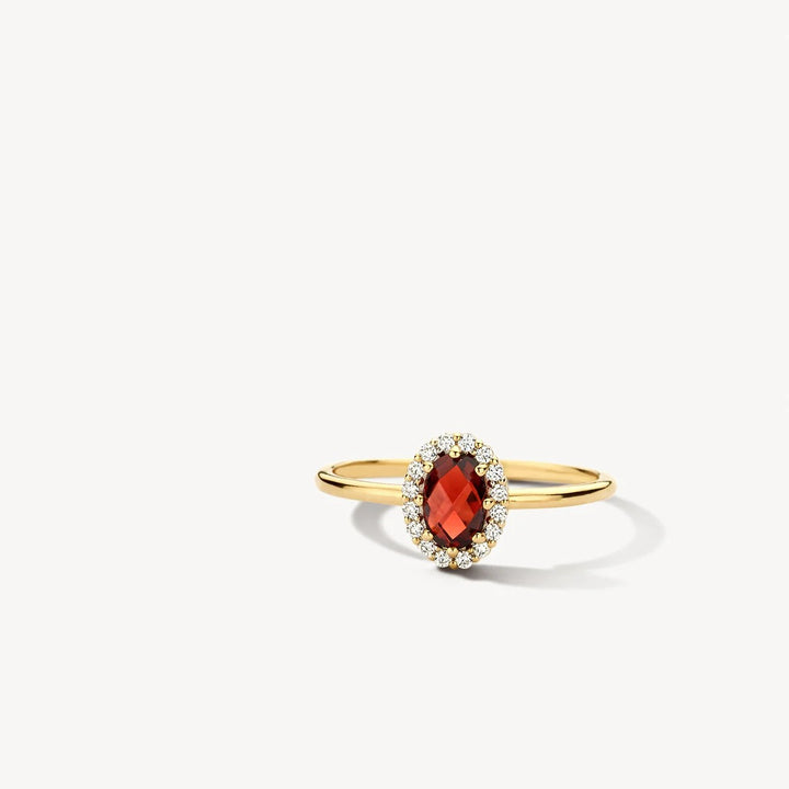 Blush Ring 14 kt Geelgoud met Mozambique Granaat en Zirkonia – 1271YGA